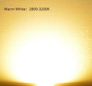 Led Cob 28mm - 3W, Lumina Cald/Rece