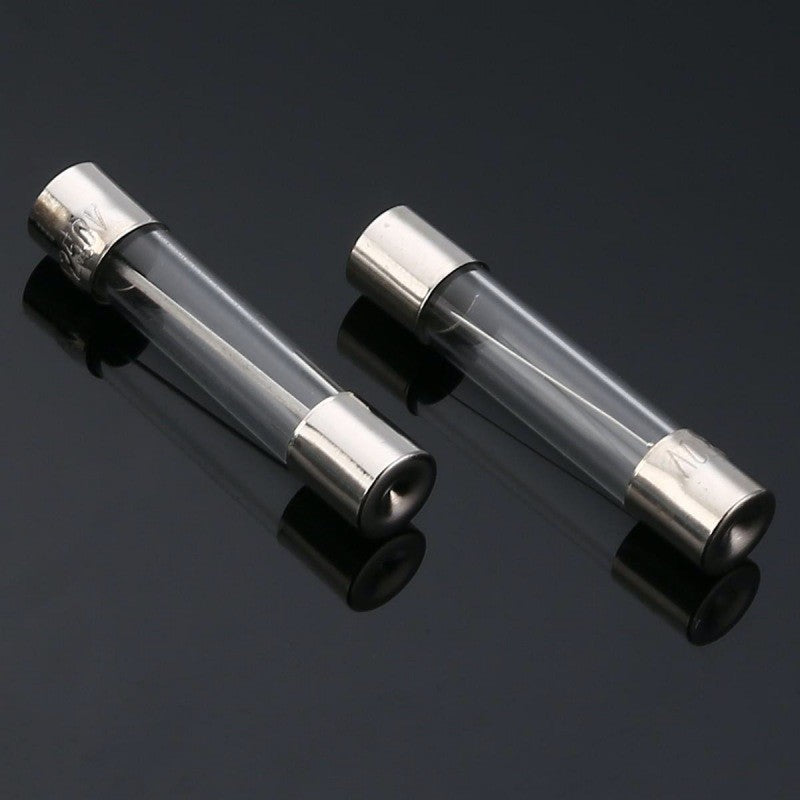 Siguranta Rapida de Sticla 10A/6x30mm-100buc